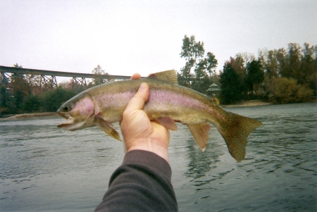 Fishing alone