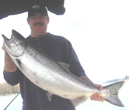 Columbia River Springer 2003