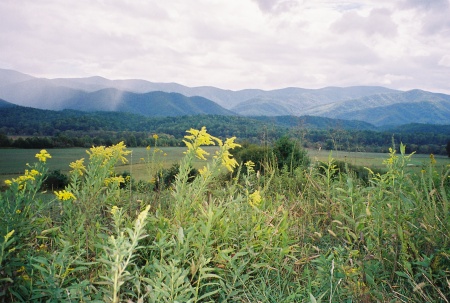 Cades Cove, Great Smokey Mountains NP