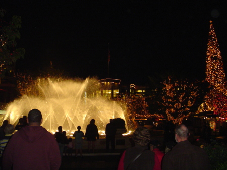 tree lighting 2008 002