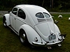 My 1951 VW