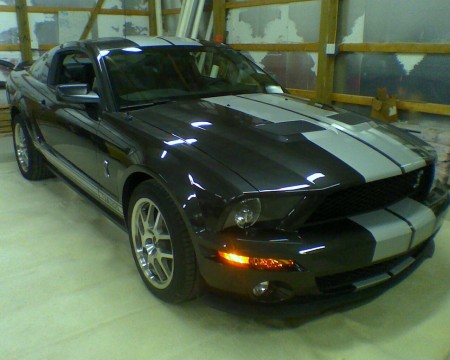 2009 Shelby