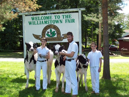 2008 4-H Calves from Sun-Dale Farms