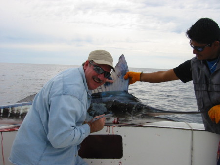 Cabo San Lucas Marlin 2005