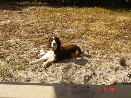 Katie in Florida