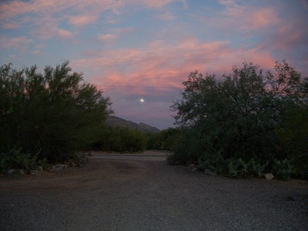 my az driveway