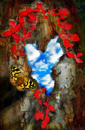 Butterfly Heart