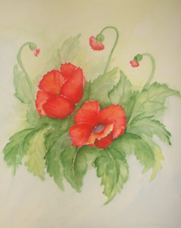 watercolor poppies