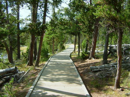 Boardwalk behind geyser basin