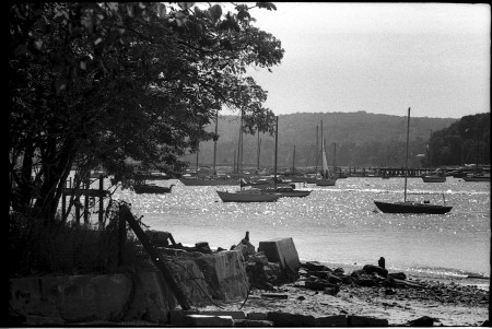 Northport Harbor