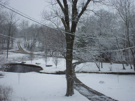 Snow 2008
