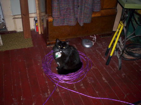 THE KEEPER OF THE CORD