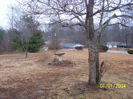 Front Yard (looking West)