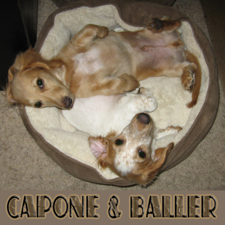 Baller & Capone