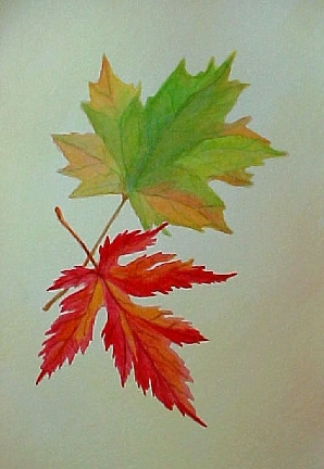 Autumn Leaves