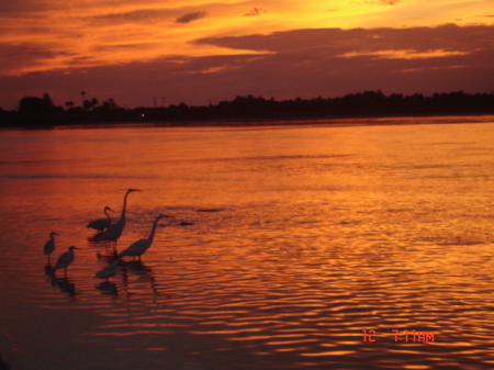 Ft Myers Beach (Sunrise)