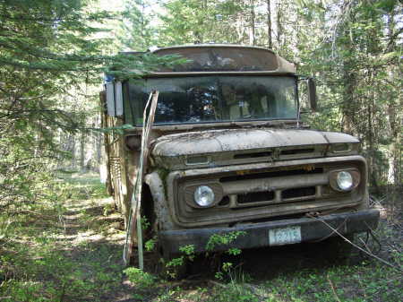 My '63 Bluebird schoolbus, retired