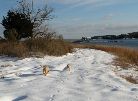 Winter in Wareham, MA