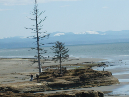 Grayland Beach, WA