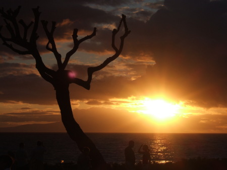 sunset in hawaii