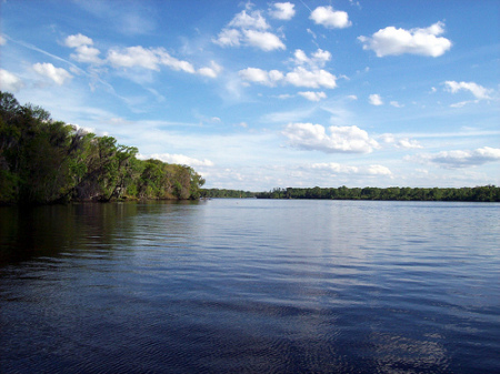 St. Johns river-Florida