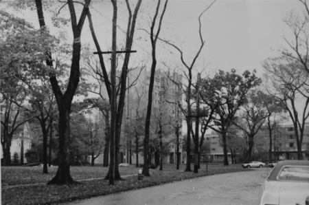 Walking toward the dorms