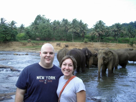 Sri Lanka elephant orphanage