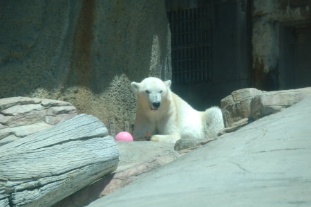 San Diego Zoo