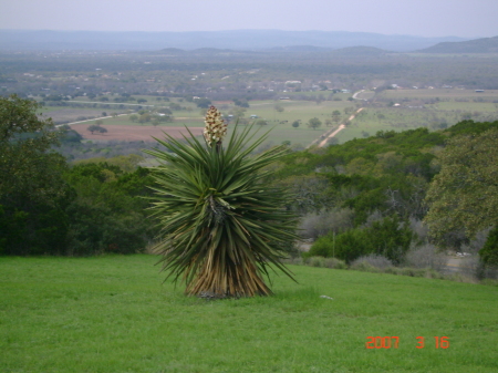 Hill country