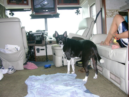 Moored in the Fleetwood 39' "Land Yacht"