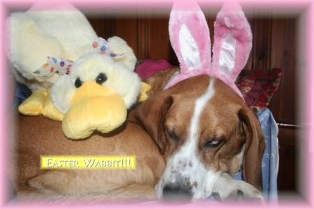 THE EASTER WABBIT