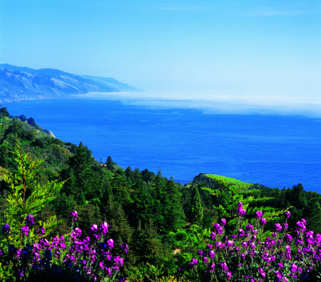 Beautiful Big Sur