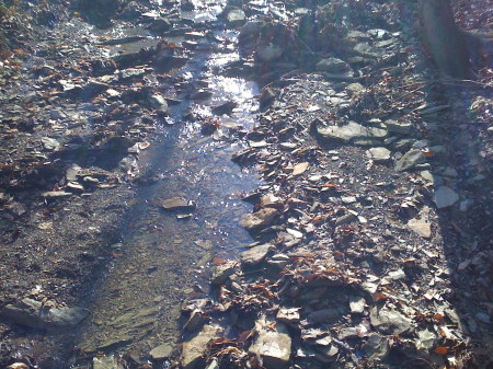 slow creek runs through it