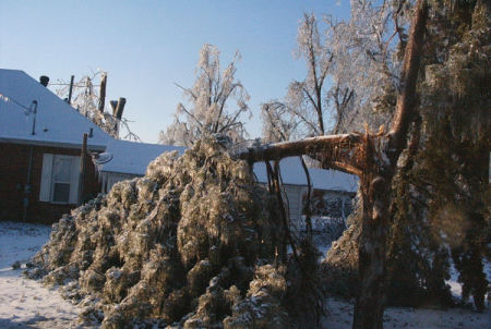 Winter Storme 2009