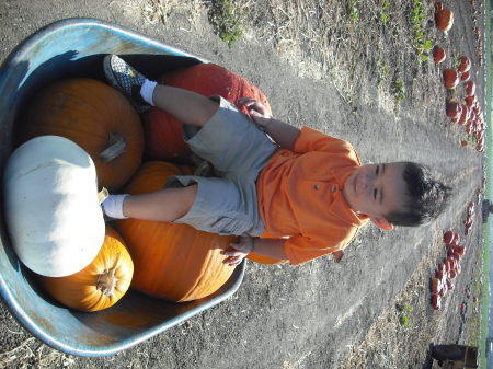 John loves his pumpkins!
