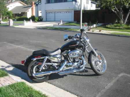 My new Harley