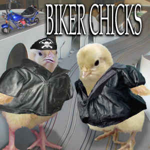 biker chicks