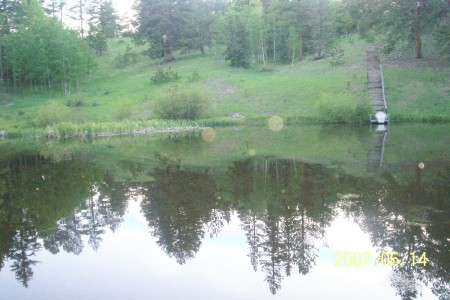 back of property pond