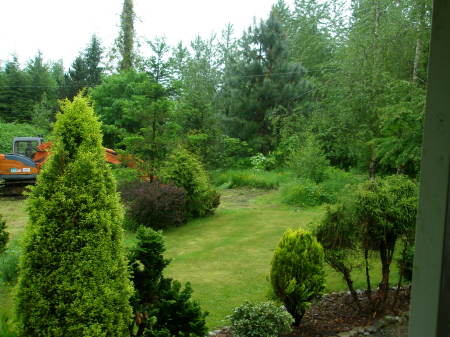 clearing front yard for more lawn to mow!