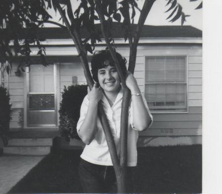 Beverly Cullum's Classmates profile album