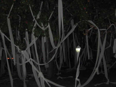 I let my kids TP their own house