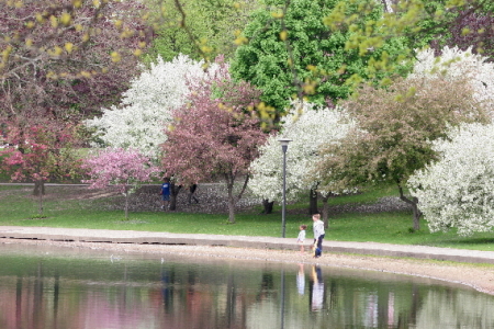 Lake Anna