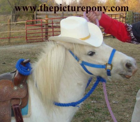 Casper The Picture Pony