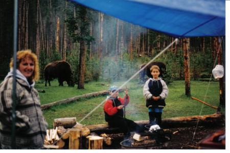 camping with buffalo 001