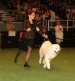 Halo and I at Westminster Kennel Club 2009