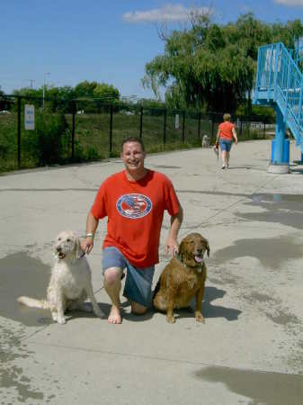 3 mutts at the pool