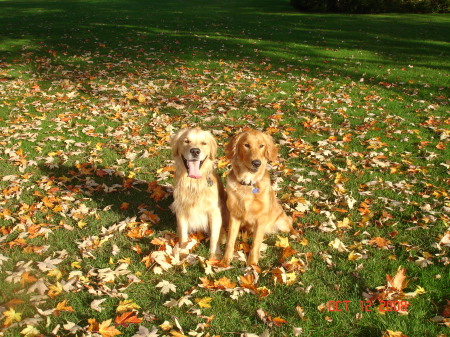 Jasper & Lily (Oct 2008)