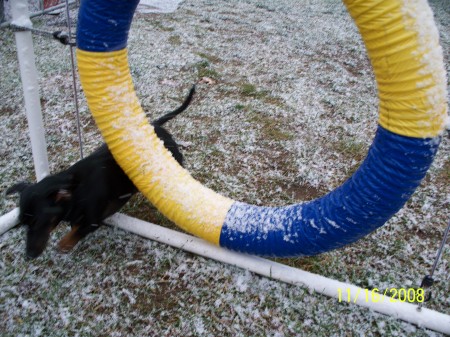 Cory Jo cheating at the ring jump