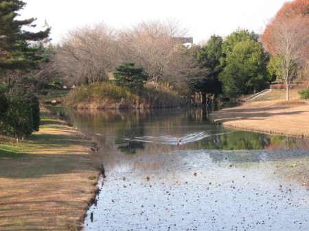 The pond at the JAXA Space center