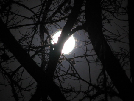 I took a pic of a Full Moon , cool huh?